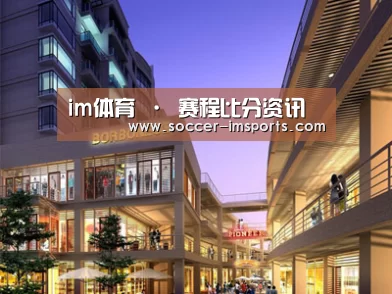 案例展示一(图1)