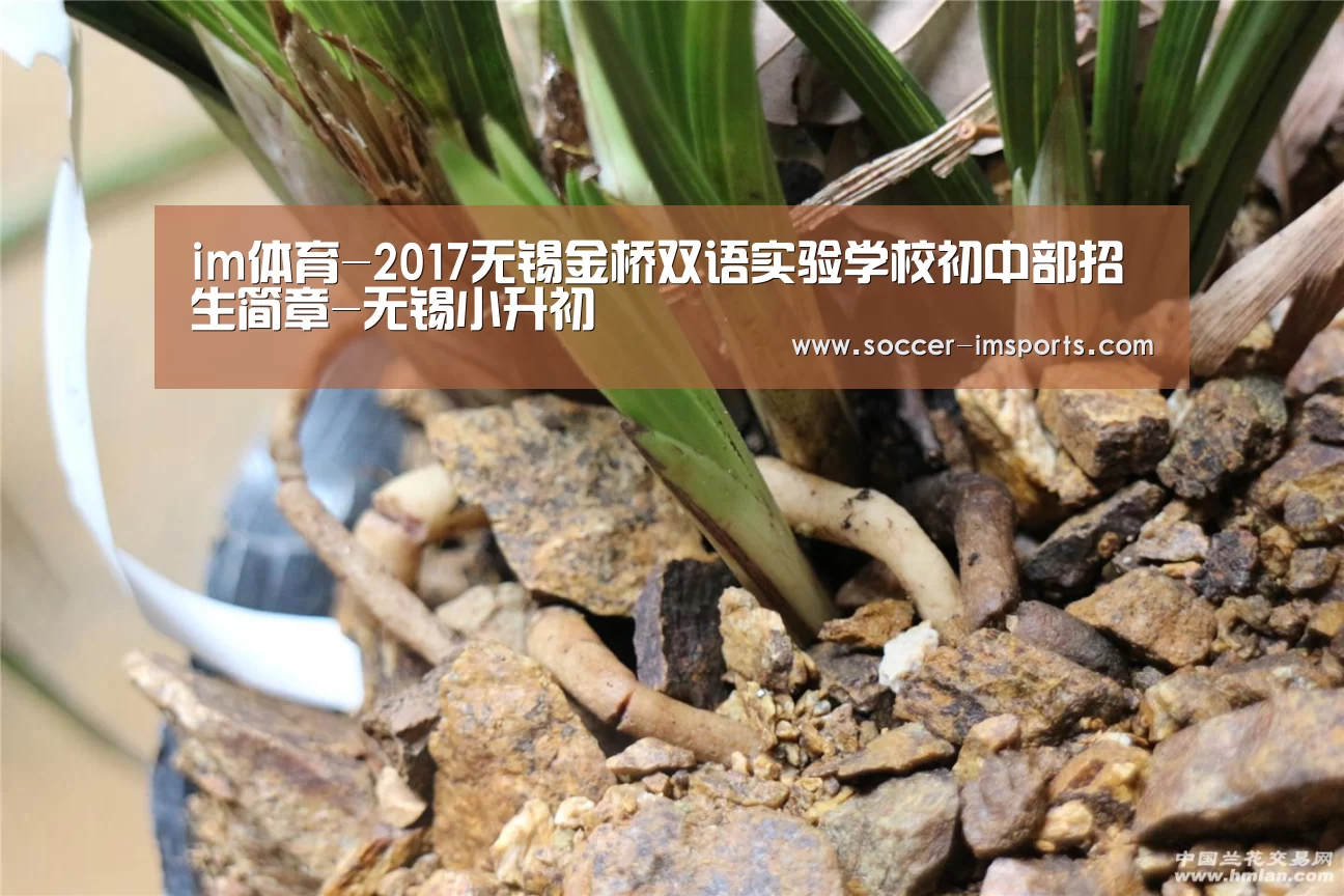 im体育-2017无锡金桥双语实验学校初中部招生简章-无锡小升初(图2) im体育下载