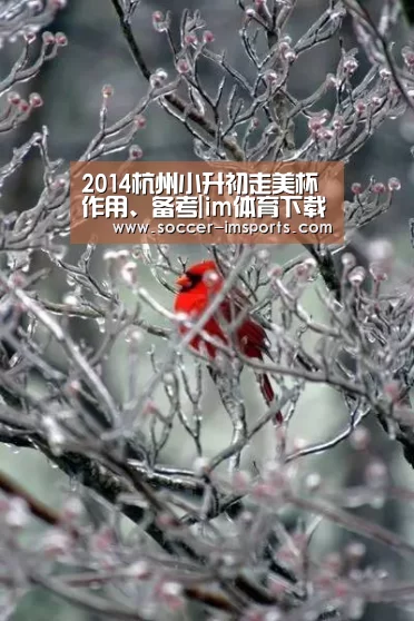 2014杭州小升初走美杯作用、备考|im体育下载(图2) im足球