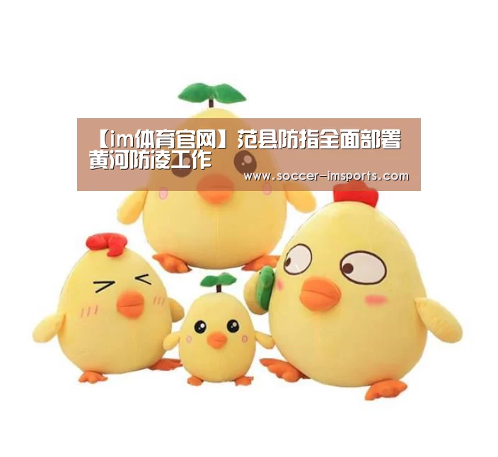 【im体育官网】范县防指全面部署黄河防凌工作(图3) im体育官网