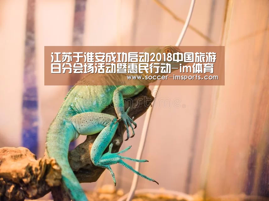 江苏于淮安成功启动2018中国旅游日分会场活动暨惠民行动-im体育下载(图3) im体育